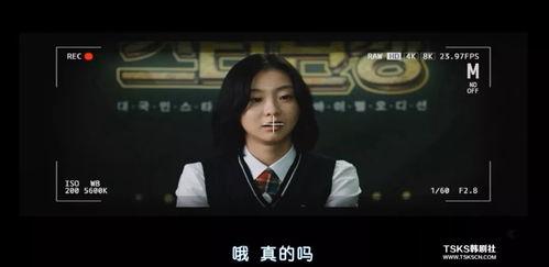 韩国深夜福利片在线观看,独家在线观看指南揭秘